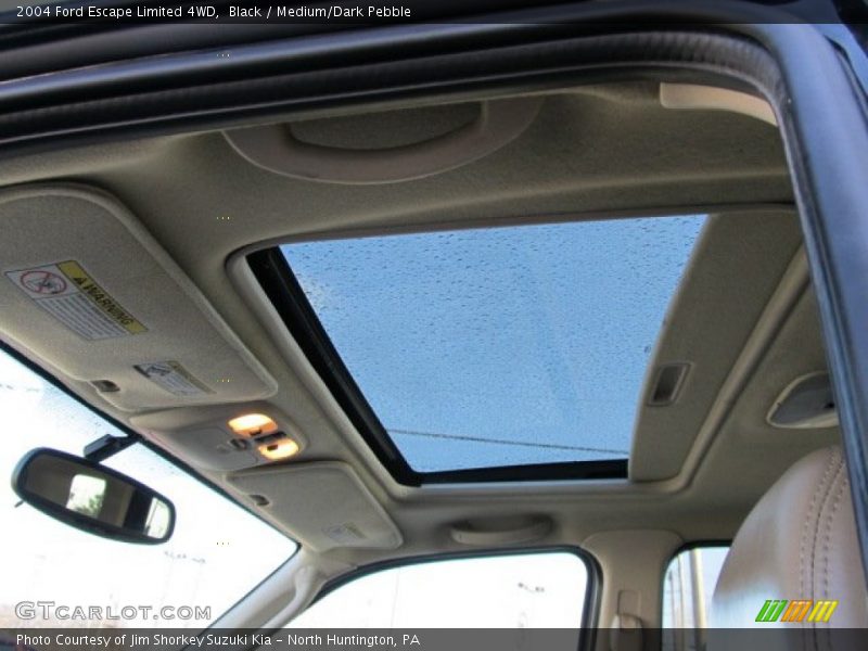 Black / Medium/Dark Pebble 2004 Ford Escape Limited 4WD