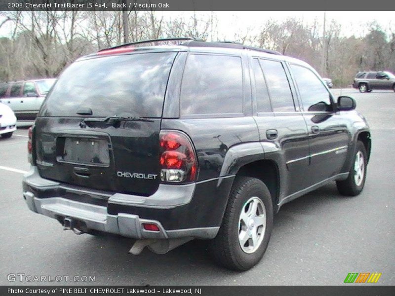 Black / Medium Oak 2003 Chevrolet TrailBlazer LS 4x4