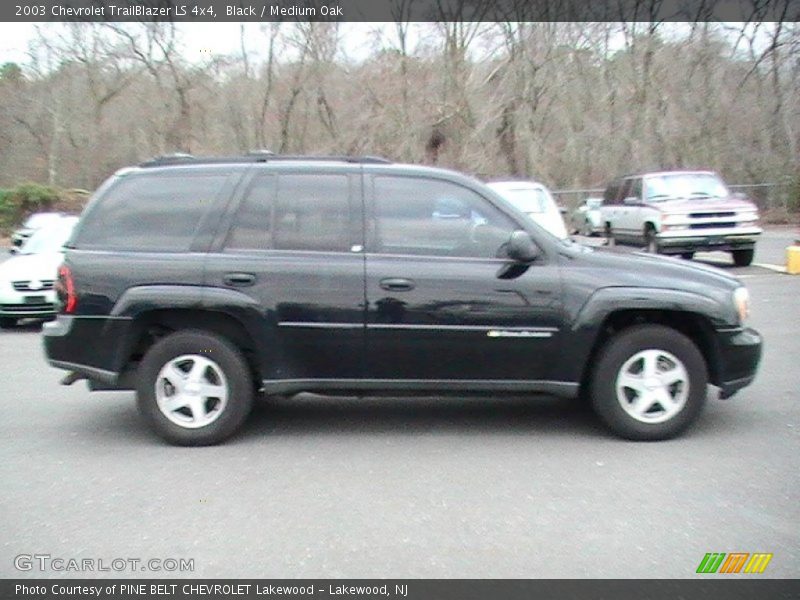 Black / Medium Oak 2003 Chevrolet TrailBlazer LS 4x4