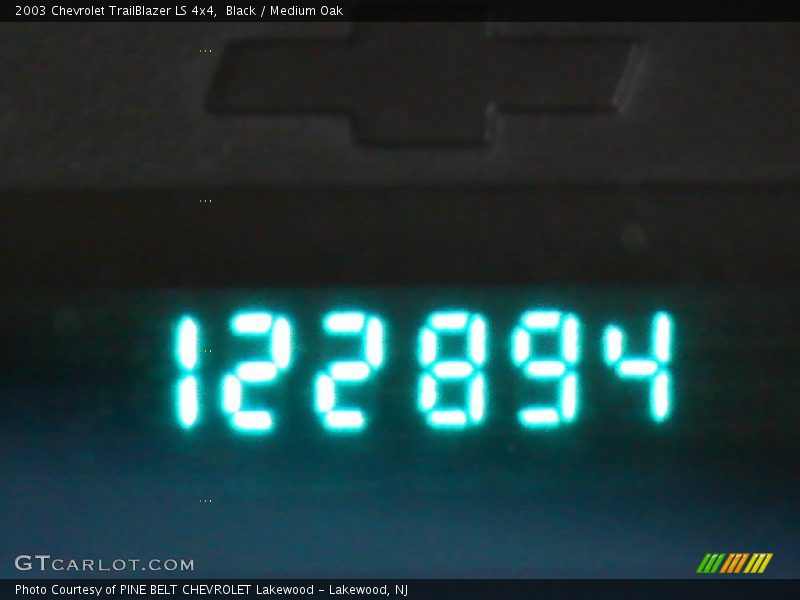 Black / Medium Oak 2003 Chevrolet TrailBlazer LS 4x4