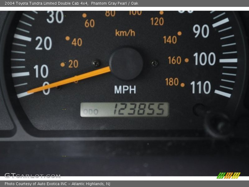 Phantom Gray Pearl / Oak 2004 Toyota Tundra Limited Double Cab 4x4