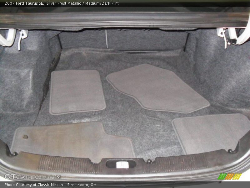 Silver Frost Metallic / Medium/Dark Flint 2007 Ford Taurus SE