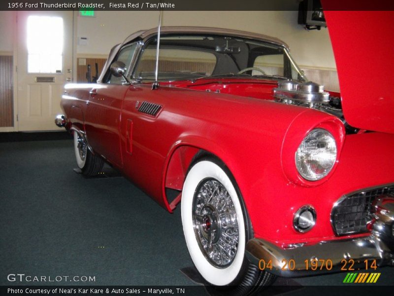 Fiesta Red / Tan/White 1956 Ford Thunderbird Roadster