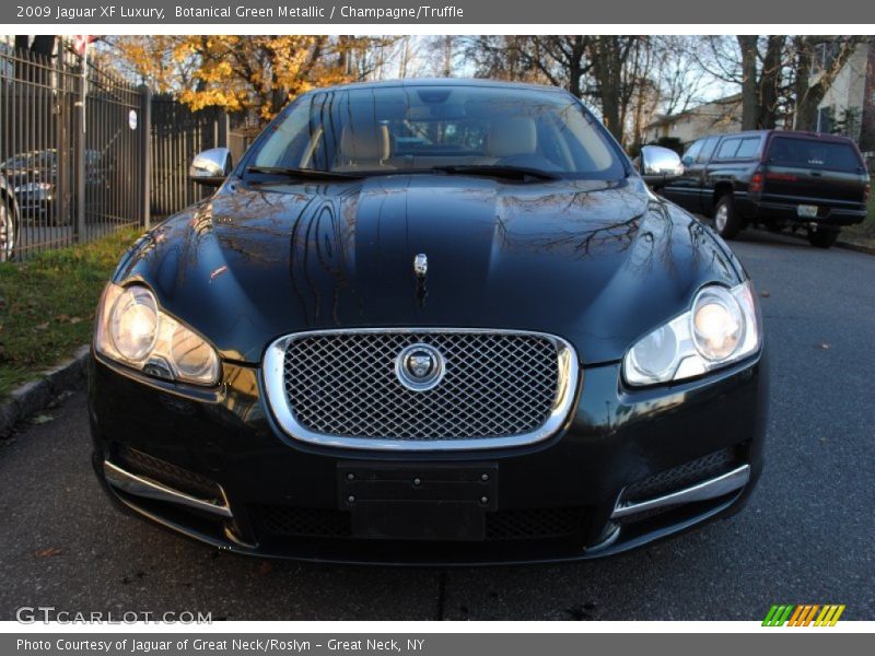 Botanical Green Metallic / Champagne/Truffle 2009 Jaguar XF Luxury
