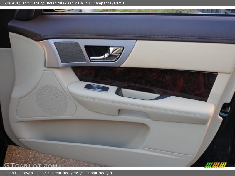Door Panel of 2009 XF Luxury