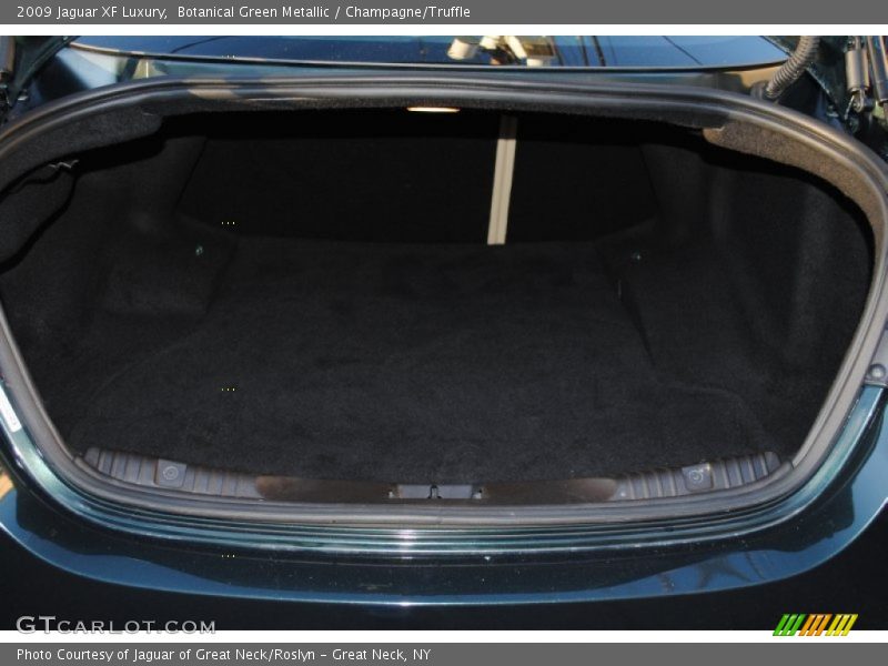 Botanical Green Metallic / Champagne/Truffle 2009 Jaguar XF Luxury