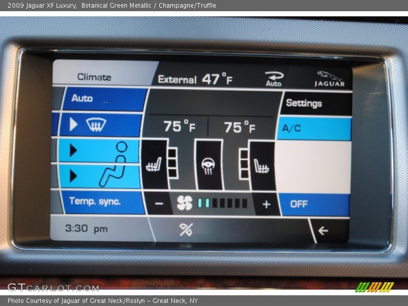 Botanical Green Metallic / Champagne/Truffle 2009 Jaguar XF Luxury