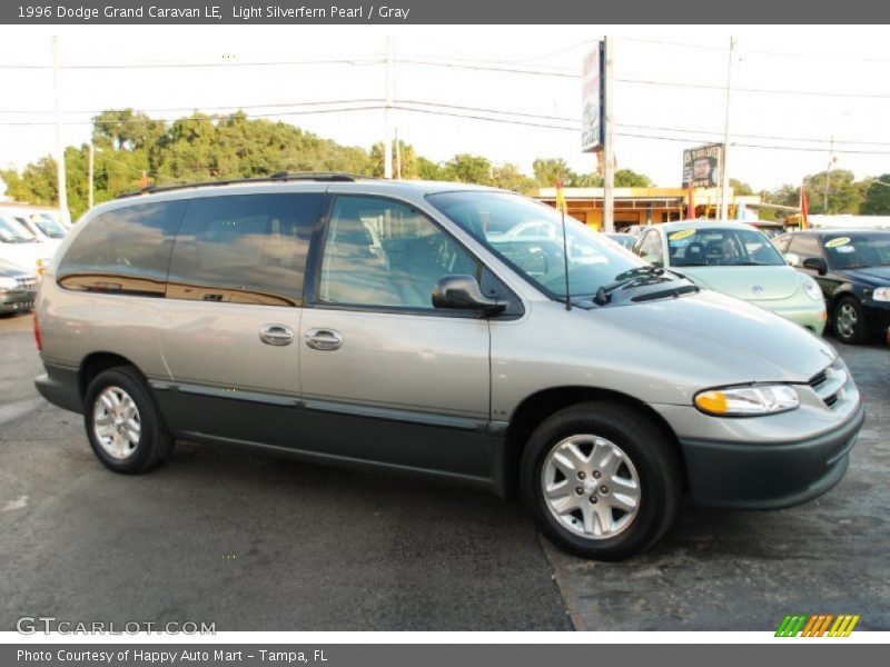 Light Silverfern Pearl / Gray 1996 Dodge Grand Caravan LE