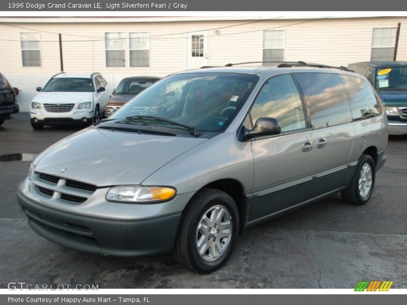 Light Silverfern Pearl / Gray 1996 Dodge Grand Caravan LE