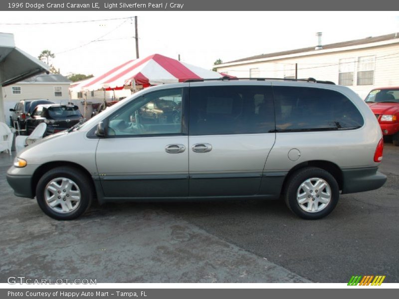 Light Silverfern Pearl / Gray 1996 Dodge Grand Caravan LE