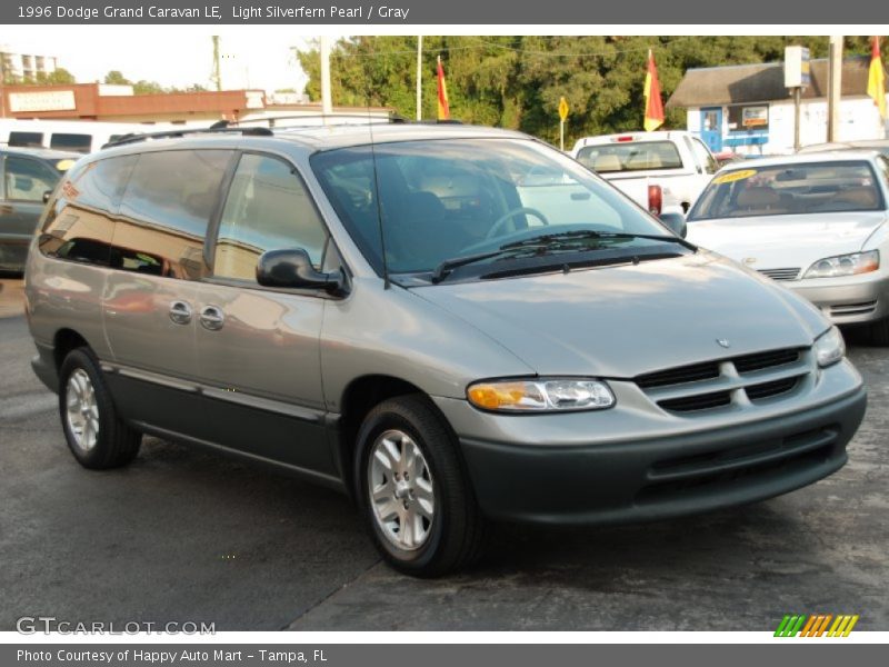 Light Silverfern Pearl / Gray 1996 Dodge Grand Caravan LE