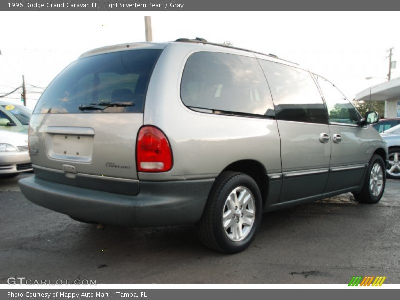 Light Silverfern Pearl / Gray 1996 Dodge Grand Caravan LE