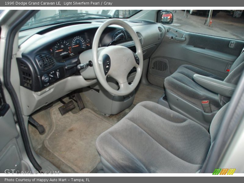 Light Silverfern Pearl / Gray 1996 Dodge Grand Caravan LE