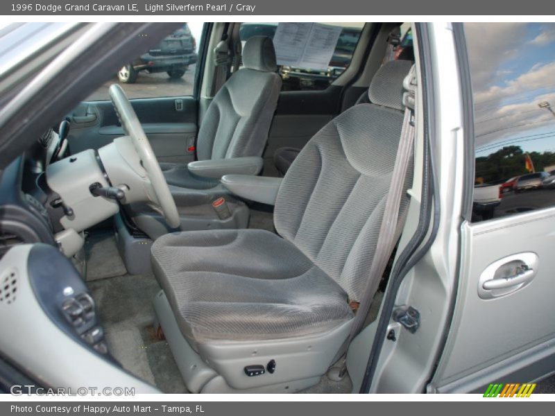 Light Silverfern Pearl / Gray 1996 Dodge Grand Caravan LE