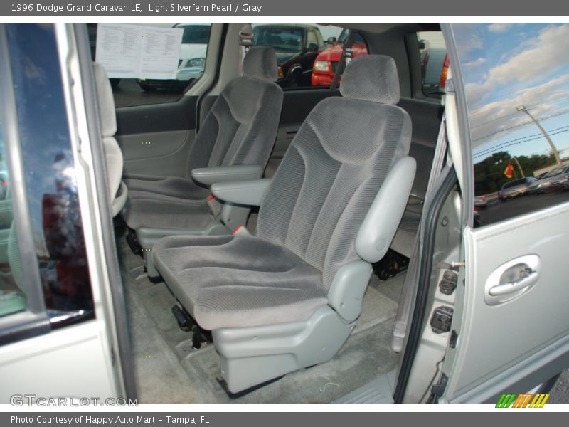 Light Silverfern Pearl / Gray 1996 Dodge Grand Caravan LE
