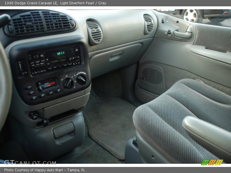 Light Silverfern Pearl / Gray 1996 Dodge Grand Caravan LE