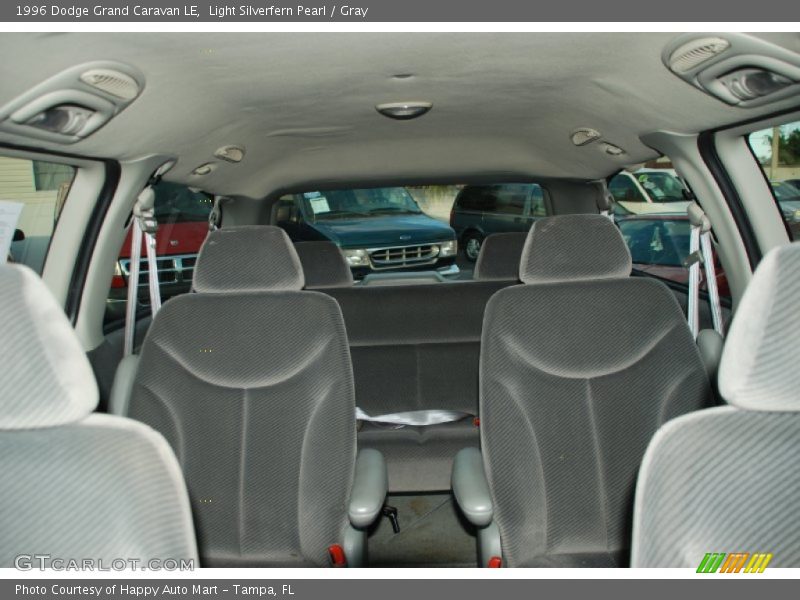 Light Silverfern Pearl / Gray 1996 Dodge Grand Caravan LE