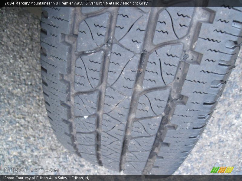 Silver Birch Metallic / Midnight Grey 2004 Mercury Mountaineer V8 Premier AWD