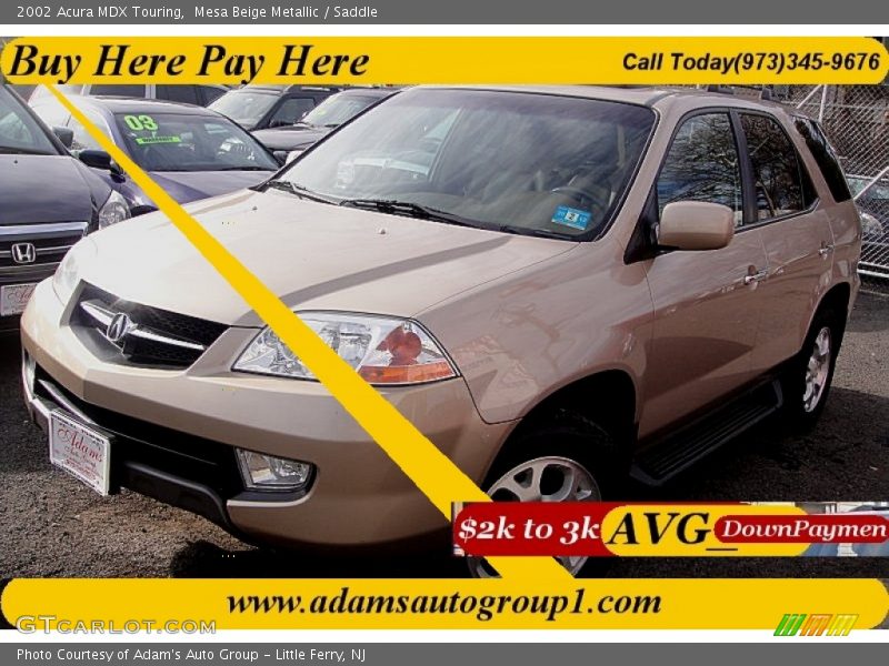 Mesa Beige Metallic / Saddle 2002 Acura MDX Touring