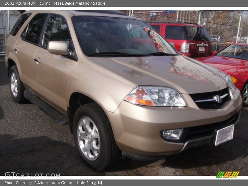 Mesa Beige Metallic / Saddle 2002 Acura MDX Touring