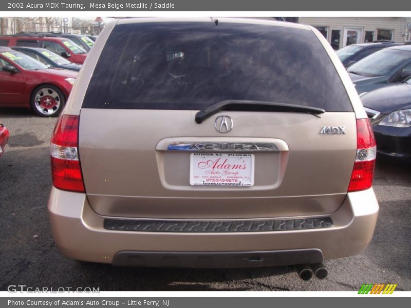 Mesa Beige Metallic / Saddle 2002 Acura MDX Touring