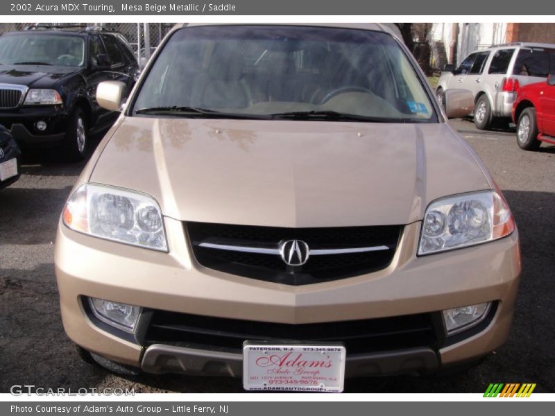 Mesa Beige Metallic / Saddle 2002 Acura MDX Touring