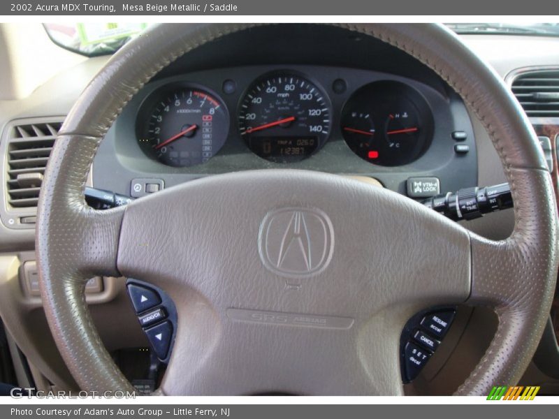 Mesa Beige Metallic / Saddle 2002 Acura MDX Touring