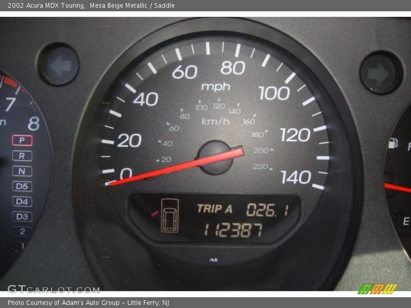 Mesa Beige Metallic / Saddle 2002 Acura MDX Touring