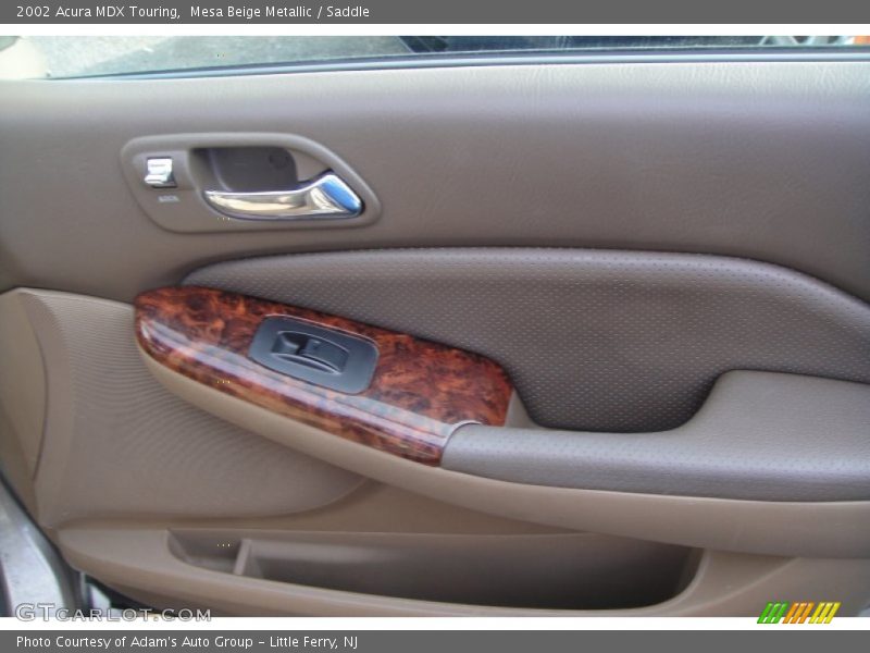 Mesa Beige Metallic / Saddle 2002 Acura MDX Touring