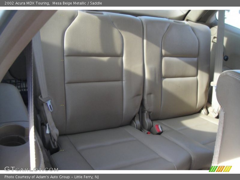 Mesa Beige Metallic / Saddle 2002 Acura MDX Touring