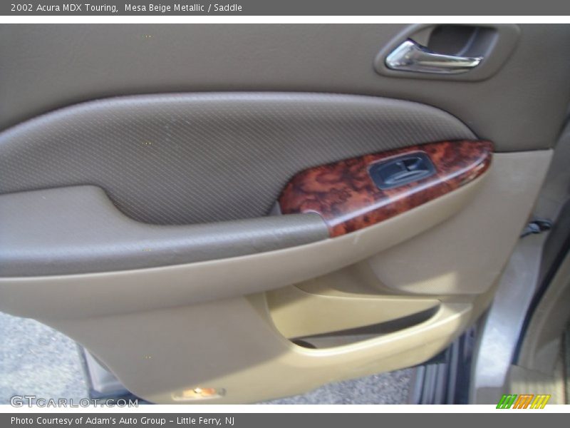 Mesa Beige Metallic / Saddle 2002 Acura MDX Touring