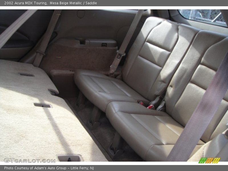 Mesa Beige Metallic / Saddle 2002 Acura MDX Touring