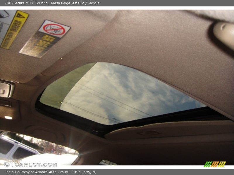 Mesa Beige Metallic / Saddle 2002 Acura MDX Touring