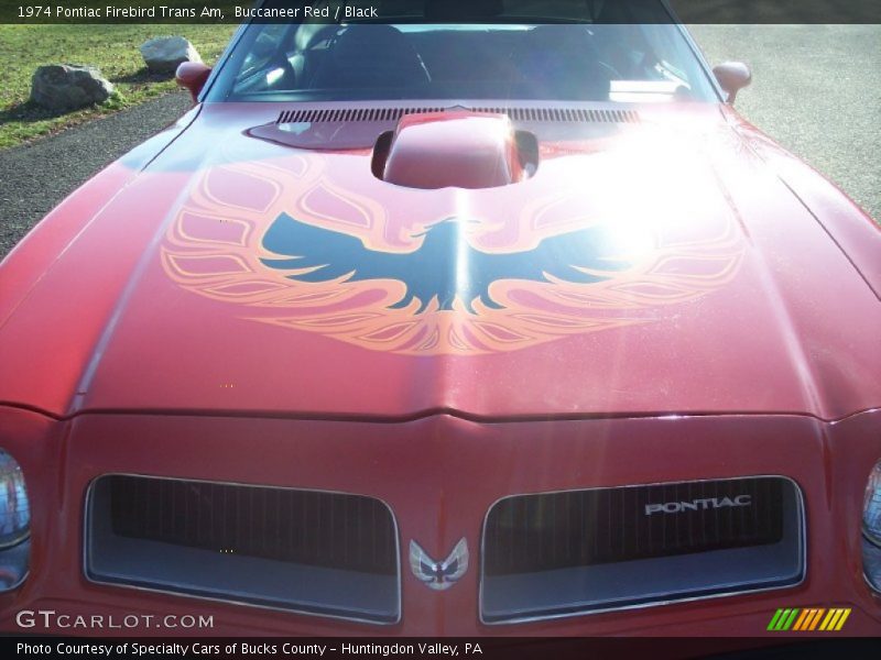 Buccaneer Red / Black 1974 Pontiac Firebird Trans Am