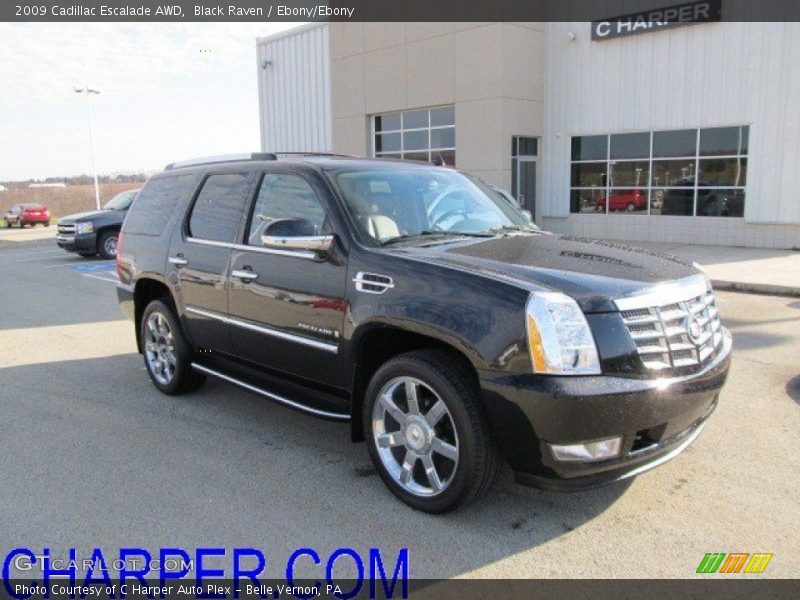 Black Raven / Ebony/Ebony 2009 Cadillac Escalade AWD