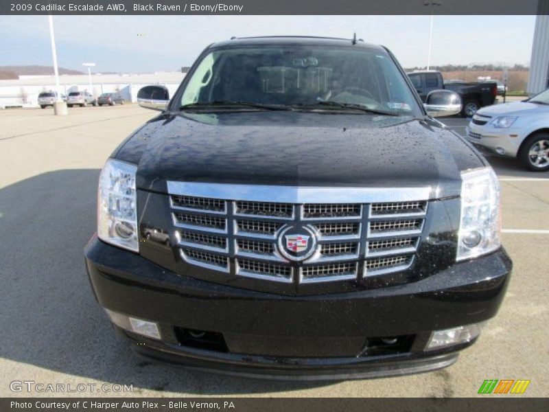 Black Raven / Ebony/Ebony 2009 Cadillac Escalade AWD