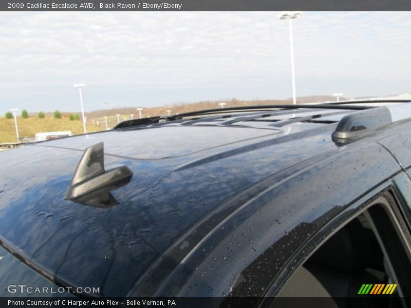 Black Raven / Ebony/Ebony 2009 Cadillac Escalade AWD
