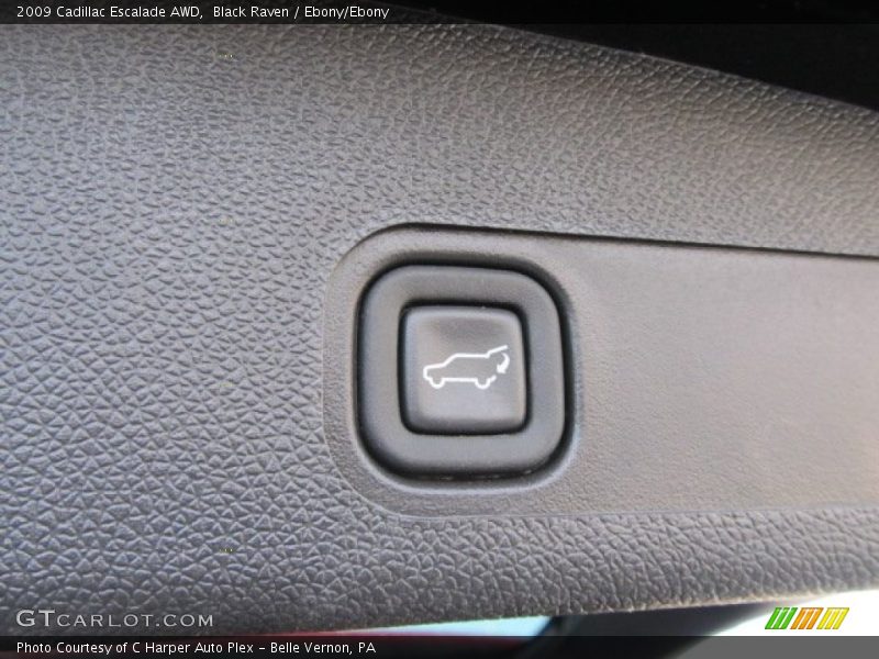 Black Raven / Ebony/Ebony 2009 Cadillac Escalade AWD