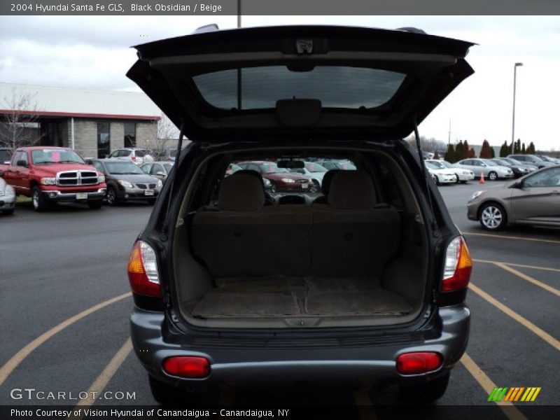 Black Obsidian / Beige 2004 Hyundai Santa Fe GLS