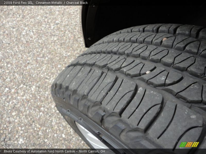 Cinnamon Metallic / Charcoal Black 2009 Ford Flex SEL