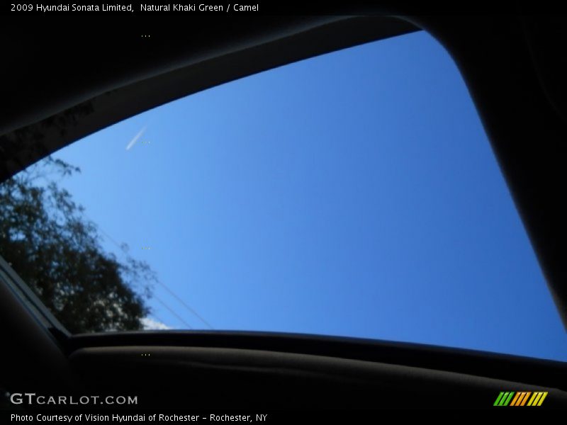 Natural Khaki Green / Camel 2009 Hyundai Sonata Limited