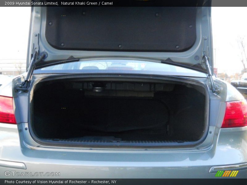 Natural Khaki Green / Camel 2009 Hyundai Sonata Limited