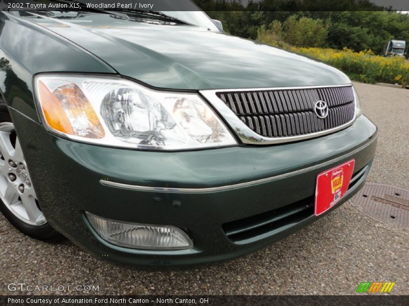 Woodland Pearl / Ivory 2002 Toyota Avalon XLS