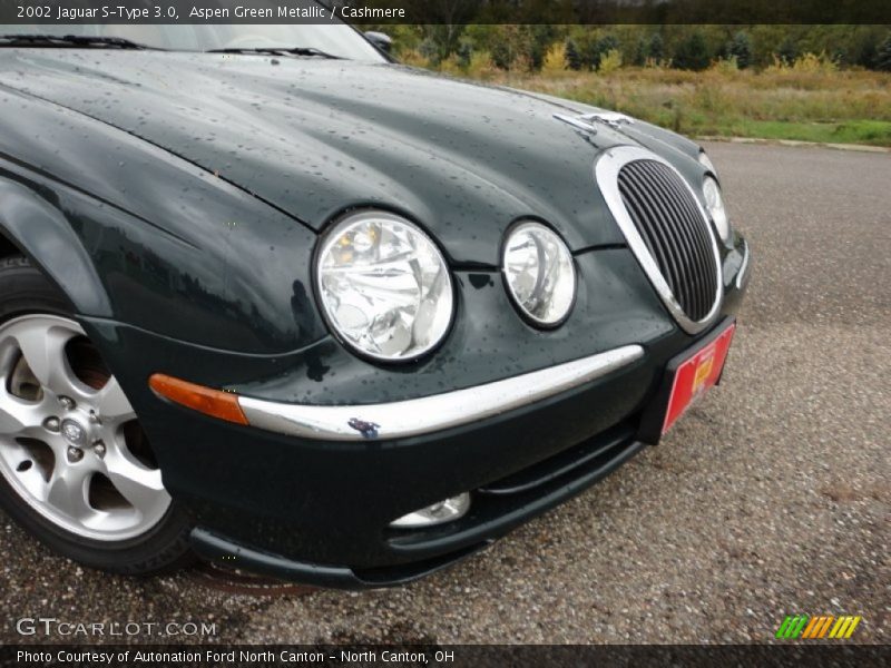 Aspen Green Metallic / Cashmere 2002 Jaguar S-Type 3.0