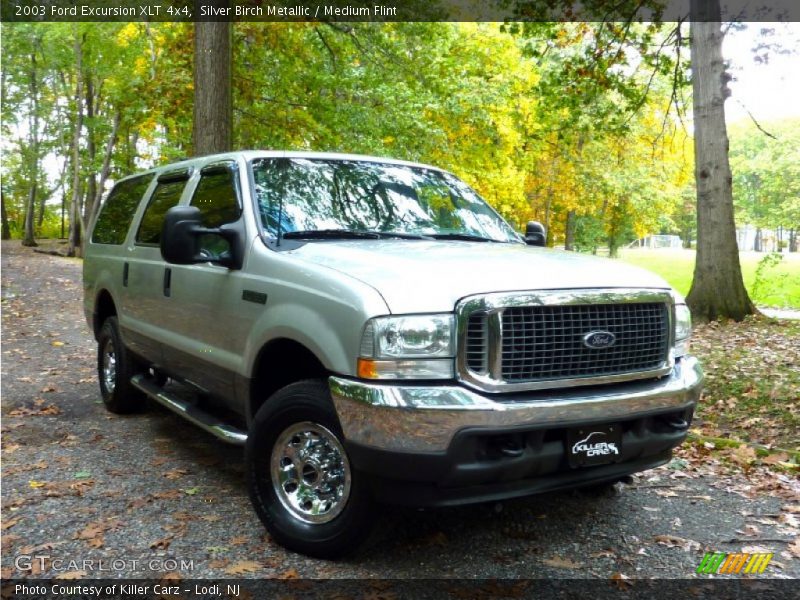 Silver Birch Metallic / Medium Flint 2003 Ford Excursion XLT 4x4