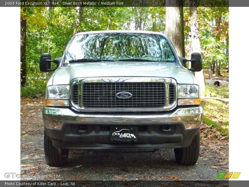 Silver Birch Metallic / Medium Flint 2003 Ford Excursion XLT 4x4