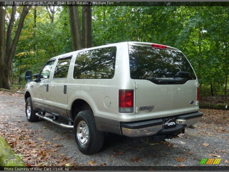 Silver Birch Metallic / Medium Flint 2003 Ford Excursion XLT 4x4