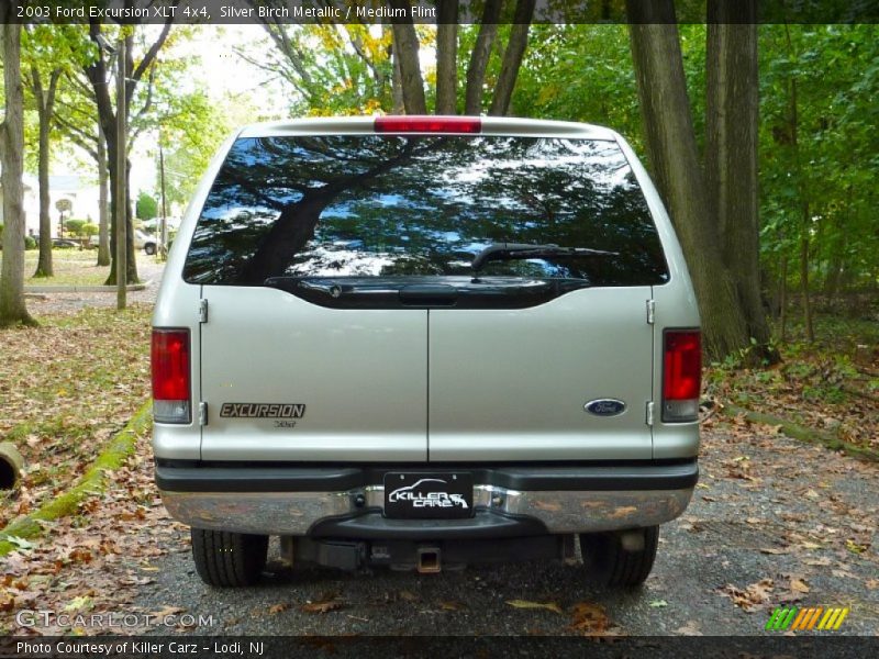 Silver Birch Metallic / Medium Flint 2003 Ford Excursion XLT 4x4