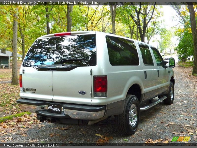 Silver Birch Metallic / Medium Flint 2003 Ford Excursion XLT 4x4