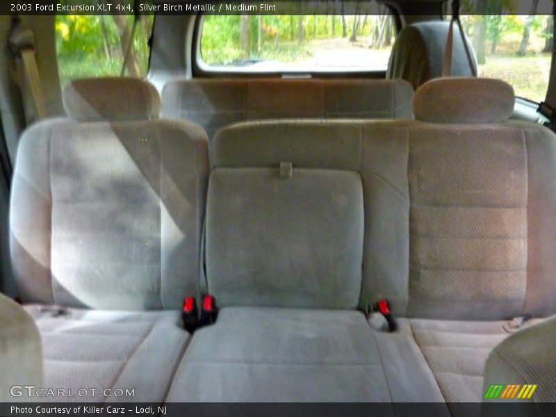 Silver Birch Metallic / Medium Flint 2003 Ford Excursion XLT 4x4
